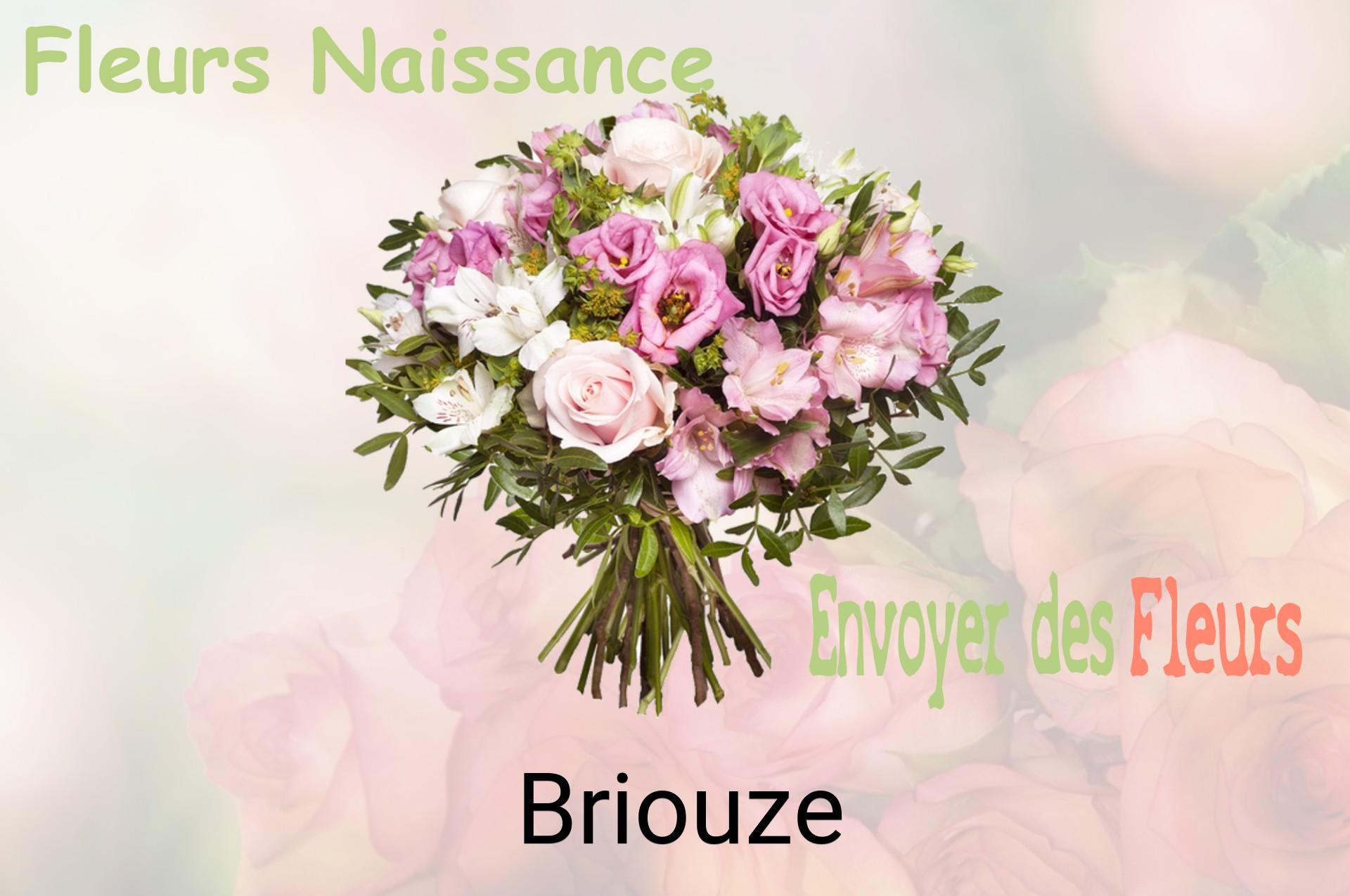 Bouquet de fleurs de naissance livré à Briouze