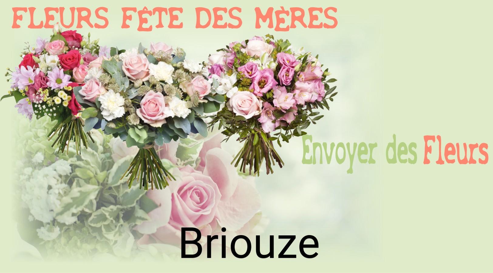 Bouquet de Fête des Mères livré à Briouze